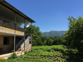 Гостиница Olya Guest house  Одзун